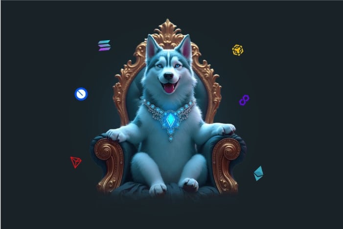 Hexydog Crypto Presale Review & Price Prediction: Should You Buy $HEXY Token?