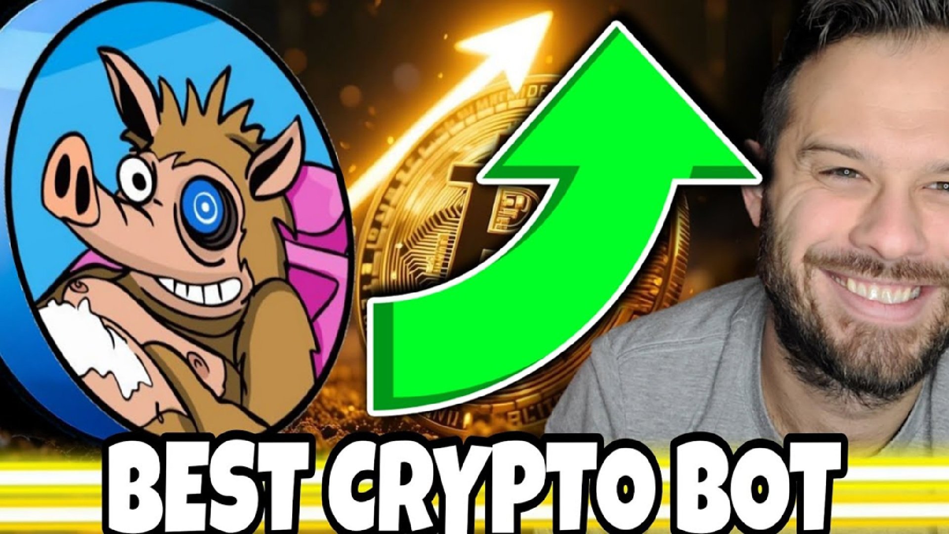Best New Cryptocurrency to Buy – Could SNORT Be the Next 100x Meme Coin on Solana?