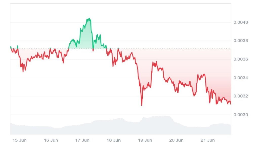 Is a Canine (Bitcoin) Rally Coming? Right here's What Sensible Merchants Are Shopping for Subsequent