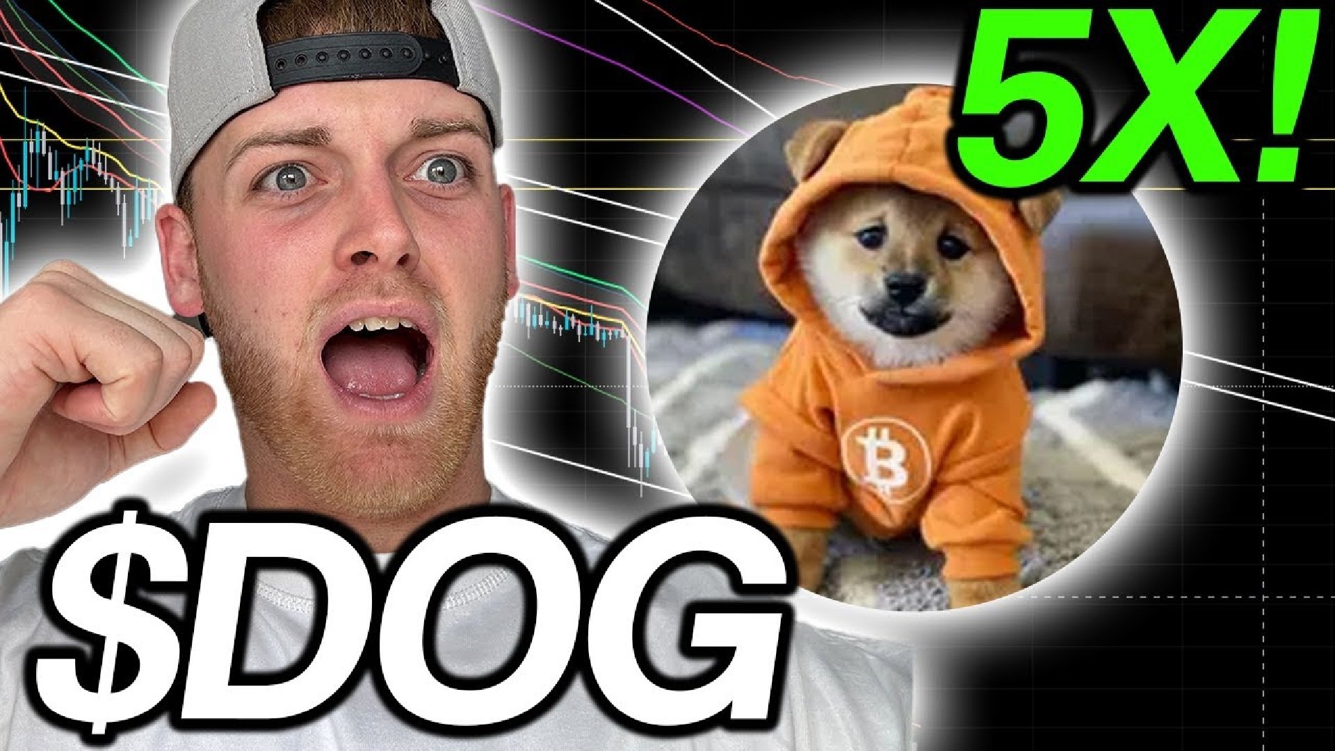 Dog (Bitcoin) Price Prediction – Will DOG Pump 2x in the Next Altcoin Season?
