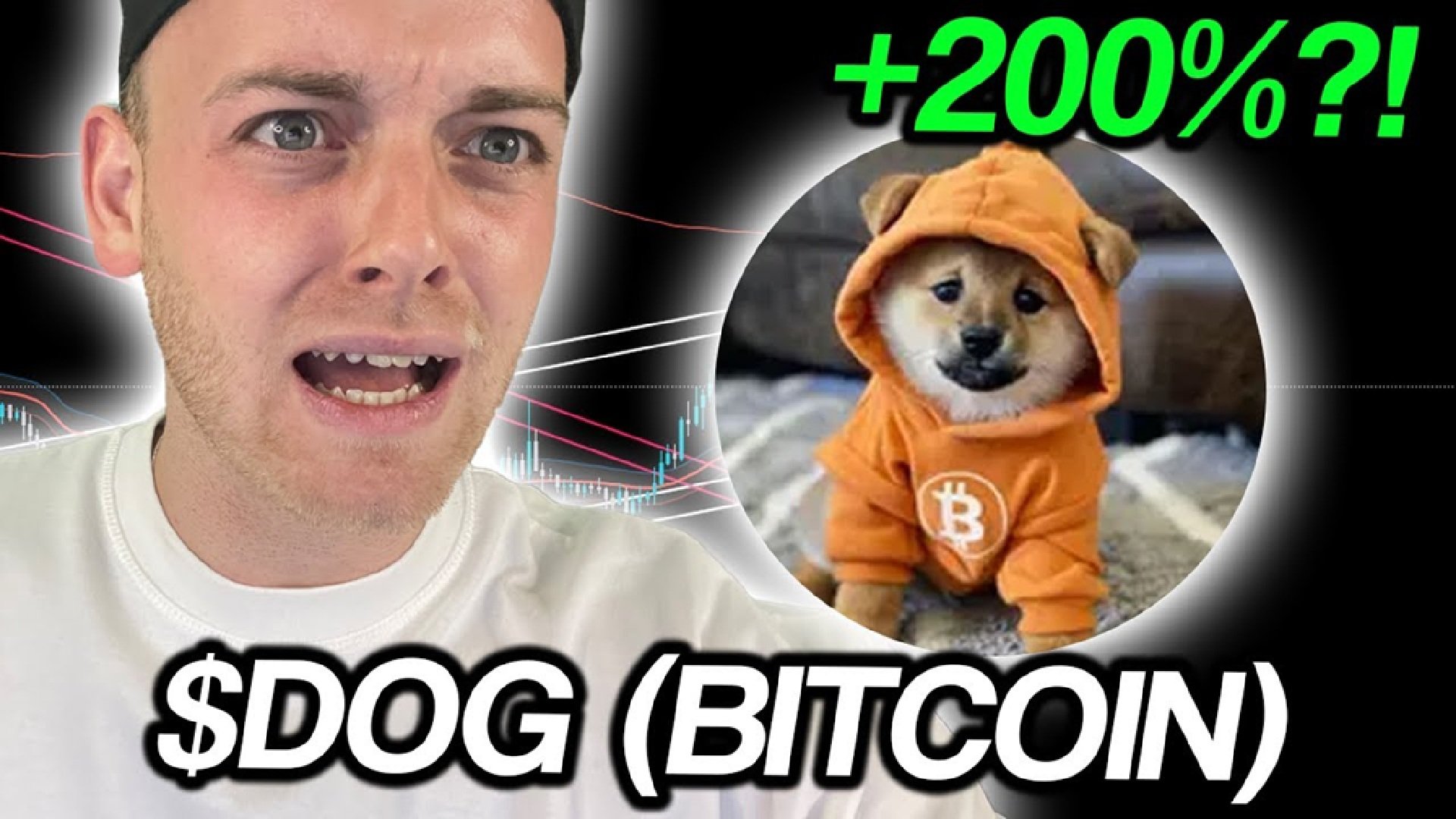 Is a Dog (Bitcoin) Rally Coming? Here's What Smart Traders Are Buying Next