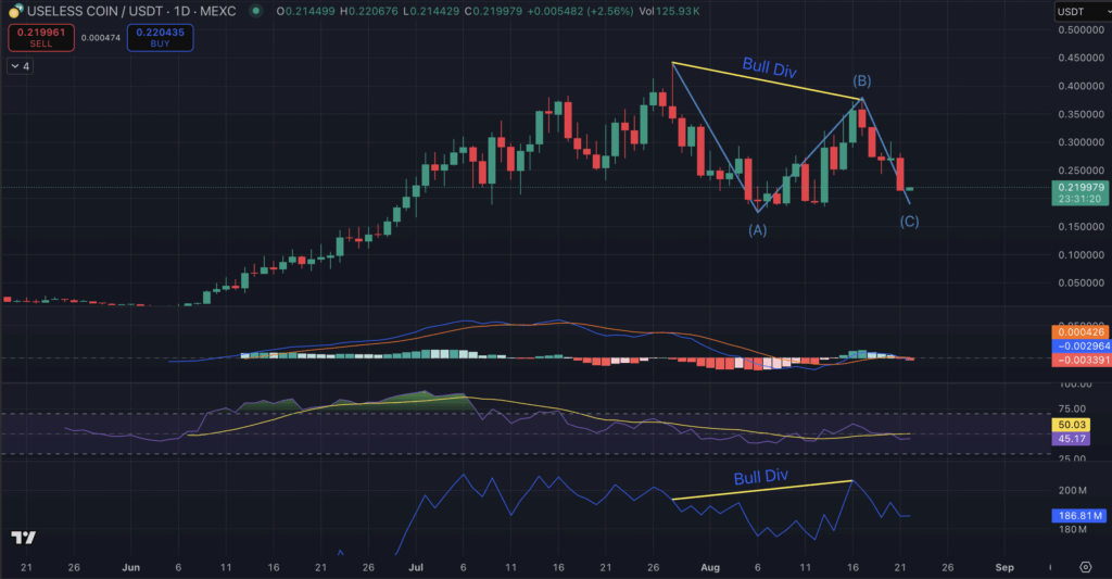 Ineffective Coin Worth Prediction After Coinbase Itemizing: Greatest Solana Meme Coin To Purchase The Dip?