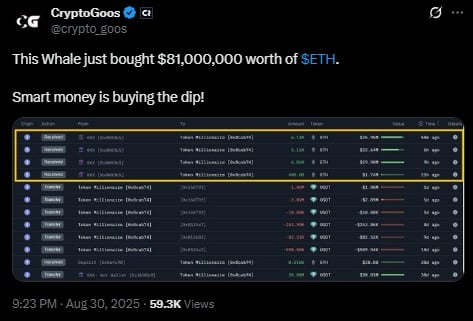 Prime 5 Cryptocurrencies Set to Explode within the Upcoming This autumn Market Rally