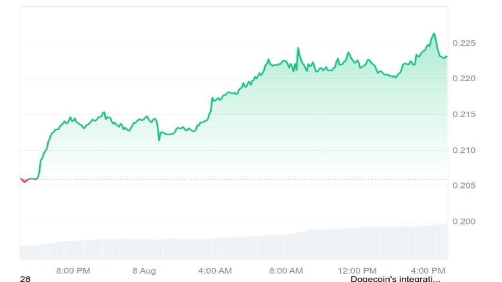 Dogecoin Value Rise Leads Meme Cash After Donald Trump 501(okay) Information: Is Maxi Doge The Subsequent Crypto to Explode