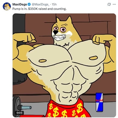 Maxi Doge Twitter