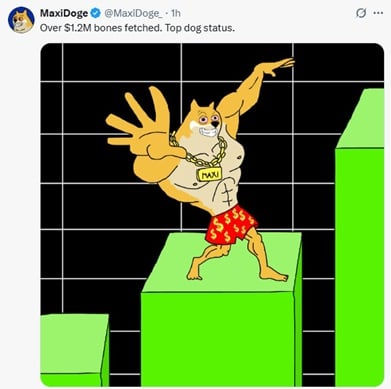 Maxi Doge Twitter Post