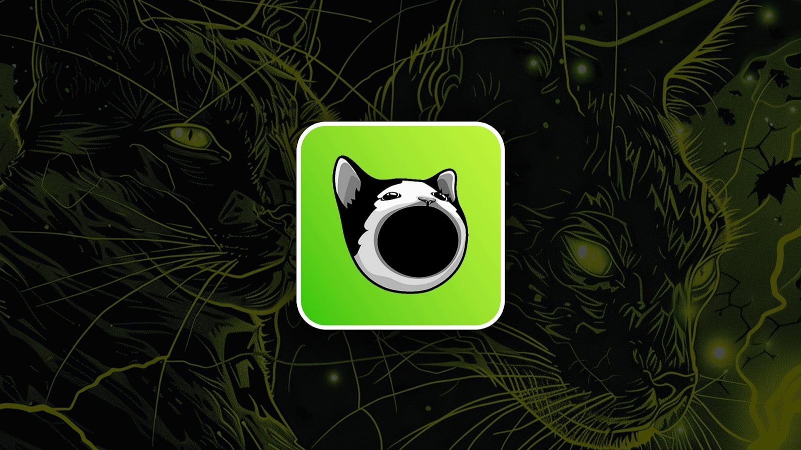 Where to Buy POPCAT Token Instantly No KYC - Top Solana Meme Coin