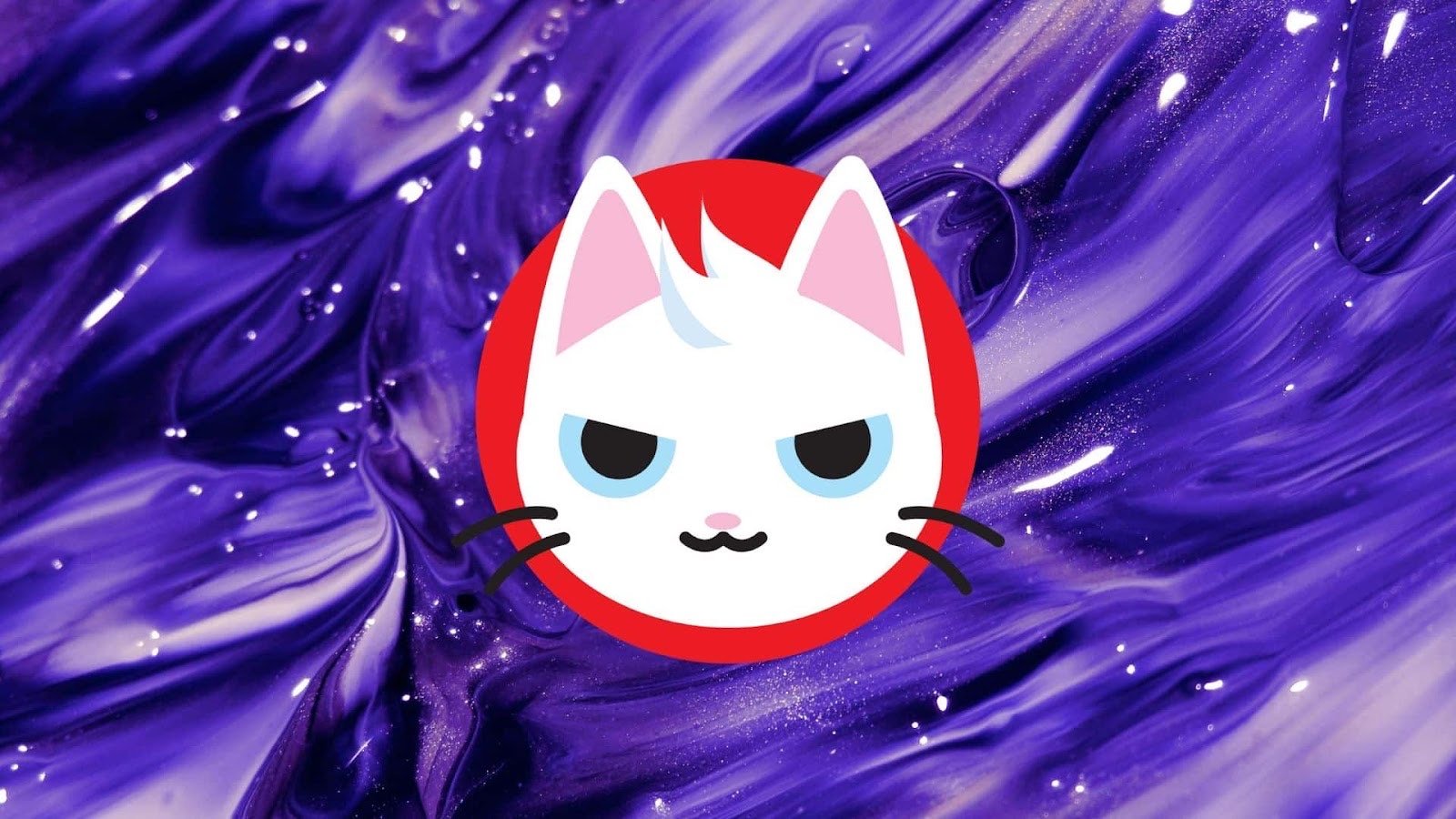 How to buy Cat in dogs world (MEW) Without KYC: Private And Easy Options 