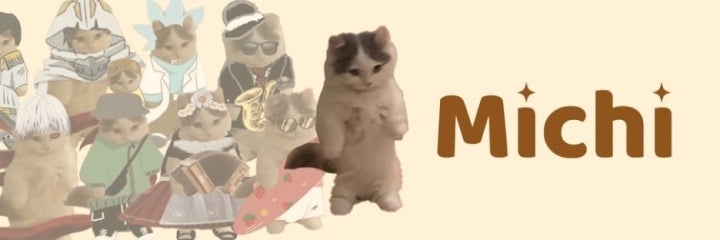 How to Buy MICHI Meme Coin Without KYC Verification