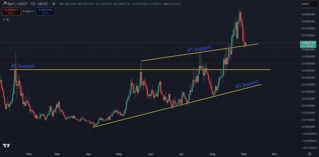 BERT Worth Prediction: Is Bertram The Pomeranian the Finest Meme Coin to Purchase in September?