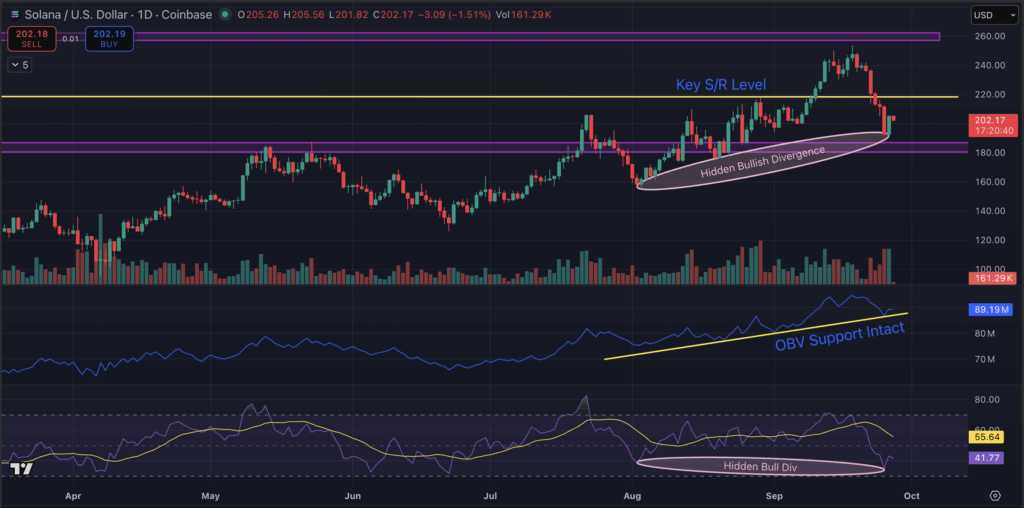 Solana Worth Prediction: SOL Reclaims 0 Amid ETF Submitting Frenzy. Greatest Altcoin To Purchase?