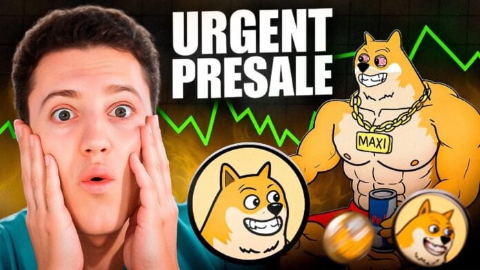 Best New Crypto Coin to Buy as Dogecoin Eyes a Breakout Above $0.30