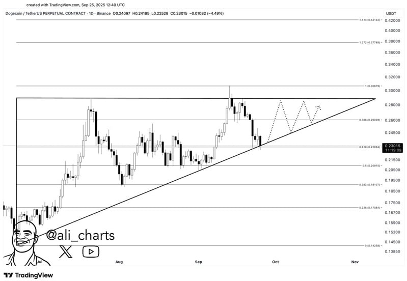 Traders Flock to Maxi Doge as Presale Raises .5 Million – Finest Dogecoin Various?