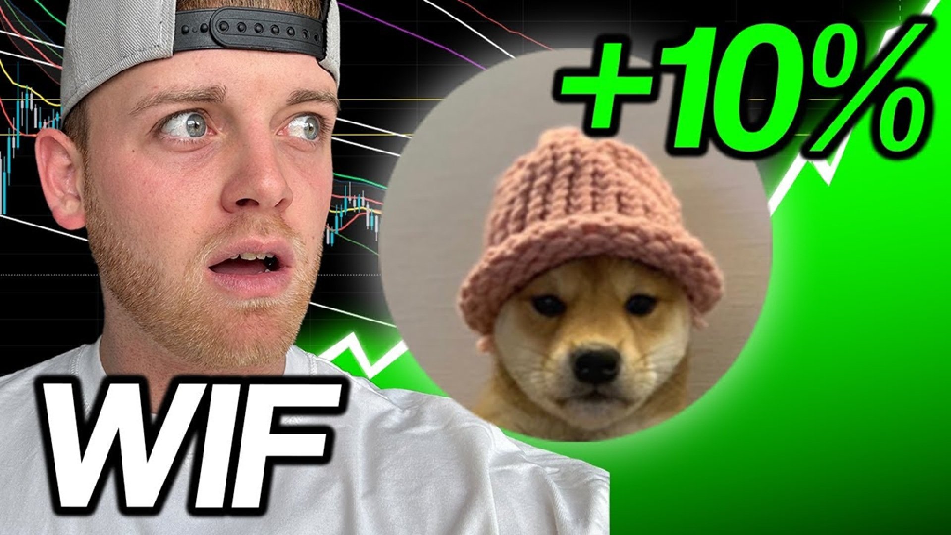 Dogwifhat Price Prediction: Will $WIF Surge Back to B Market Cap?