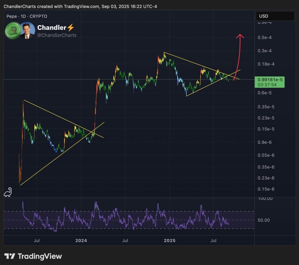 Pepe Value Prediction – Is a 40x Breakout Coming in September?