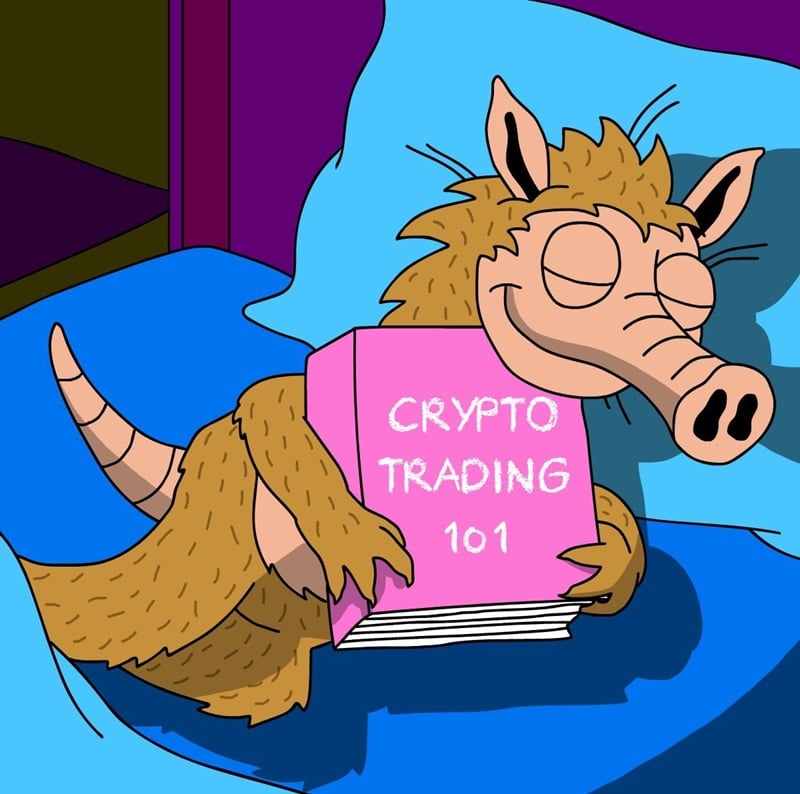 Finest Crypto Presales to Purchase Now Earlier than They Explode in 2025