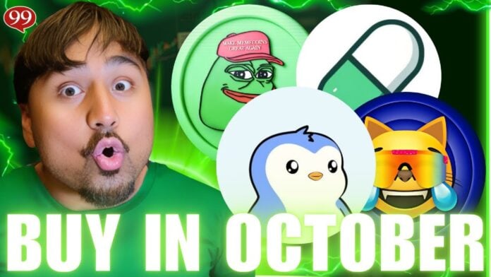 Best Crypto ICOs Whales Are Buying Early Before They Pump