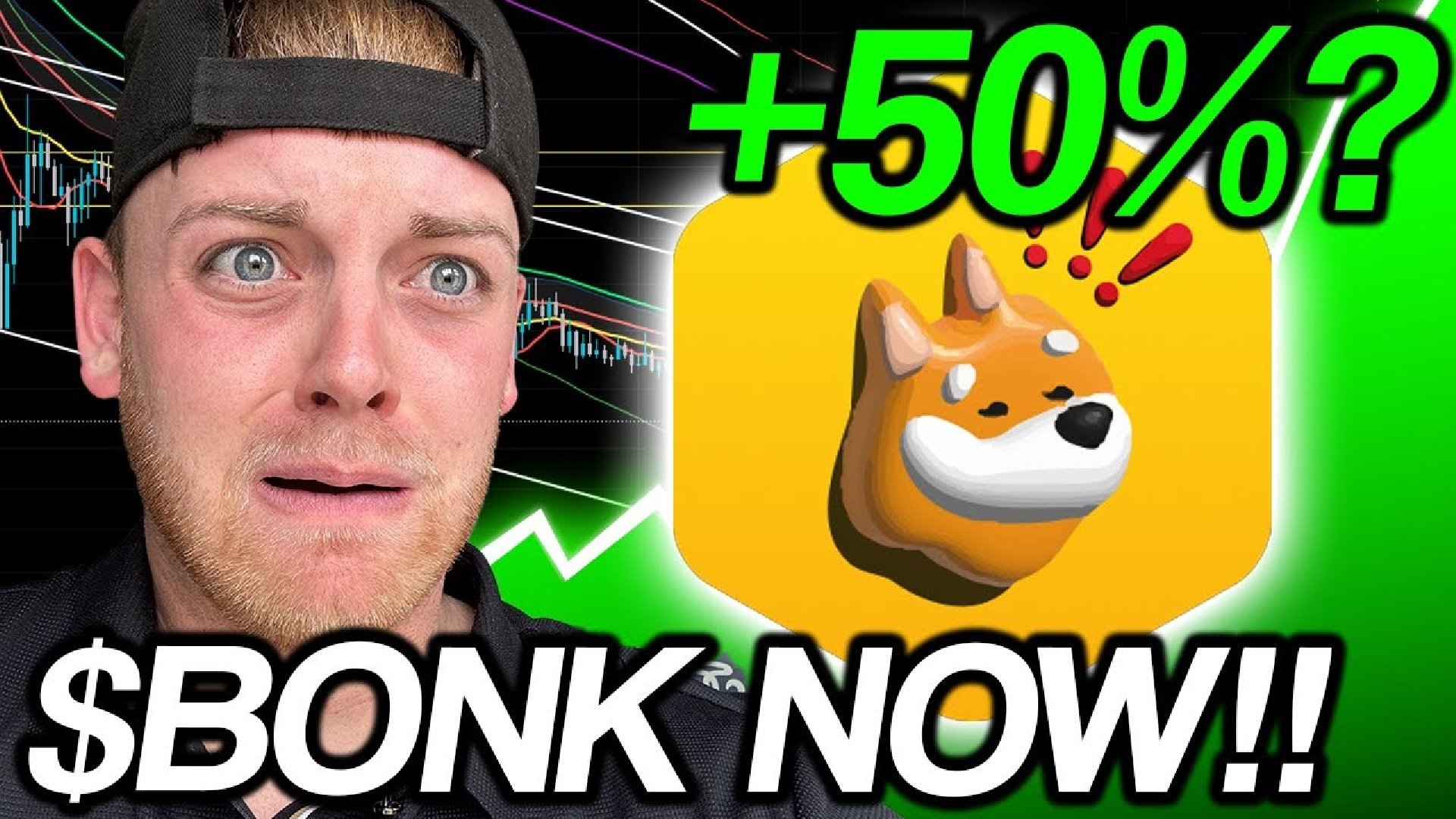 Bonk Price Prediction: Is a Massive Rally Coming for This Under  Crypto?