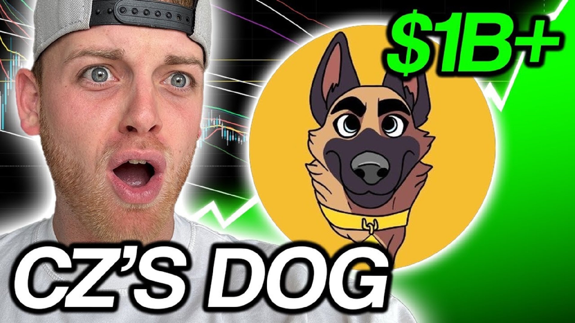 CZ's Dog Price Prediction: Will It Lead the BNB Meme Tokens’ Next Big Rally?