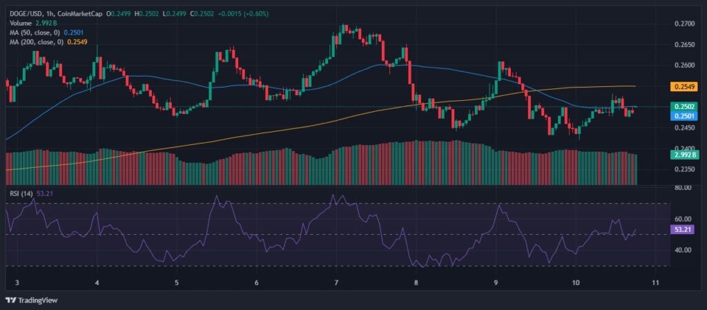 Dogecoin Worth Prediction: Is October The Month DOGE Lastly Hits ?