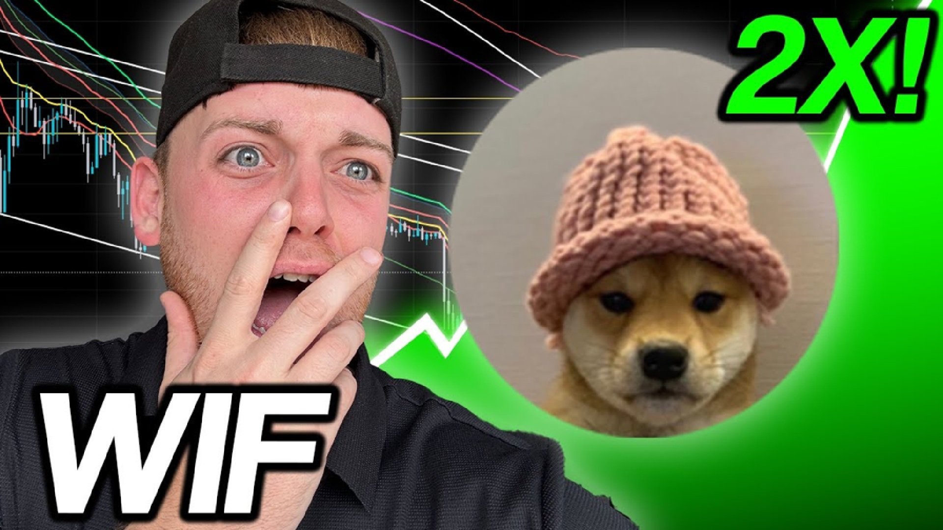 $WIF Falls 35%, Traders Tip Maxi Doge as Top Alternative