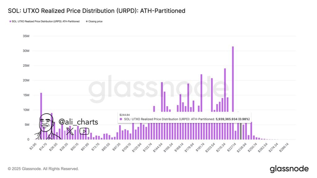 Greatest New Crypto Coin to Purchase as Solana Is Predicted to Hit New Highs Earlier than the Finish of 2025