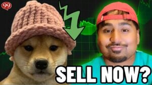 dogwifhat Price Prediction 2025: Can WIF Recover After 50% Drop And Reach $10?