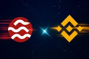 sei bnb chain stablecoin supply