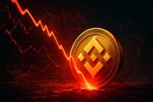Binance coin price