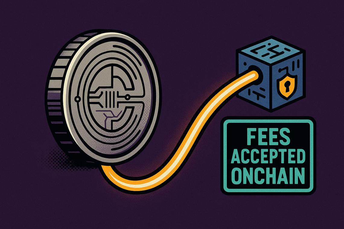 Bermuda digital dollar blockchain plan moves from USDC trial to gov fees