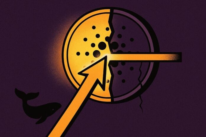 Cardano ADA market outlook
