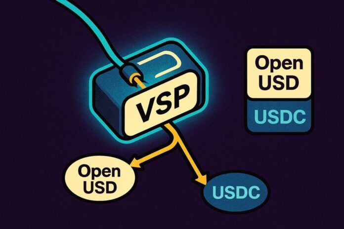 Visa stablecoin platform