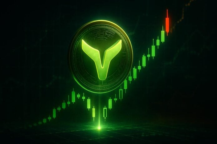 Webull Corporation stock