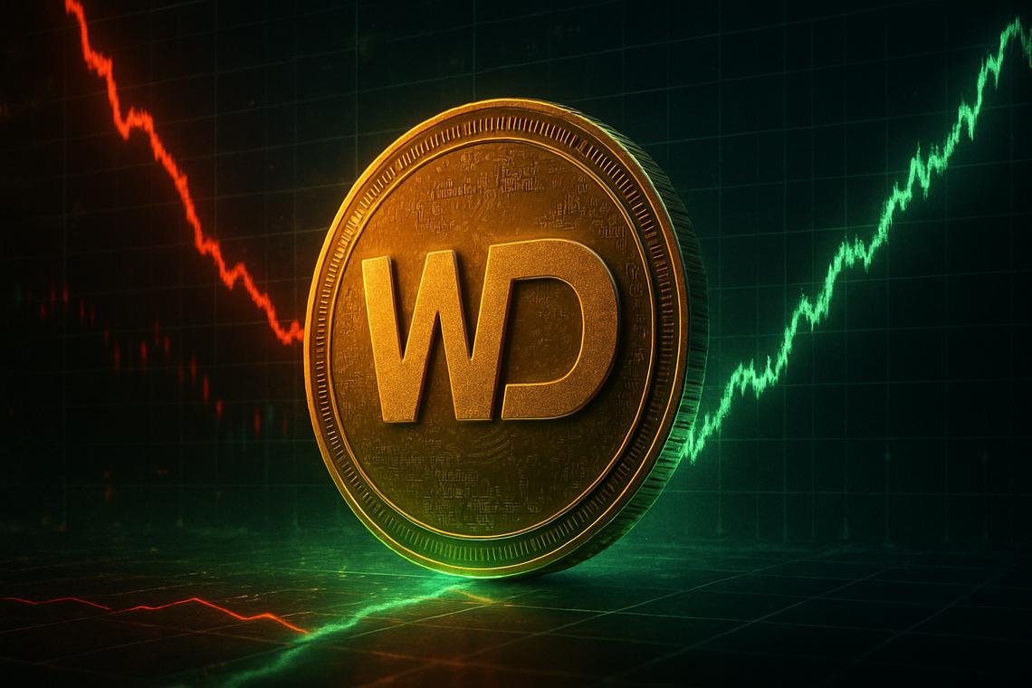 Western Digital Corporation Stock Drops 11% Despite Beating Earnings